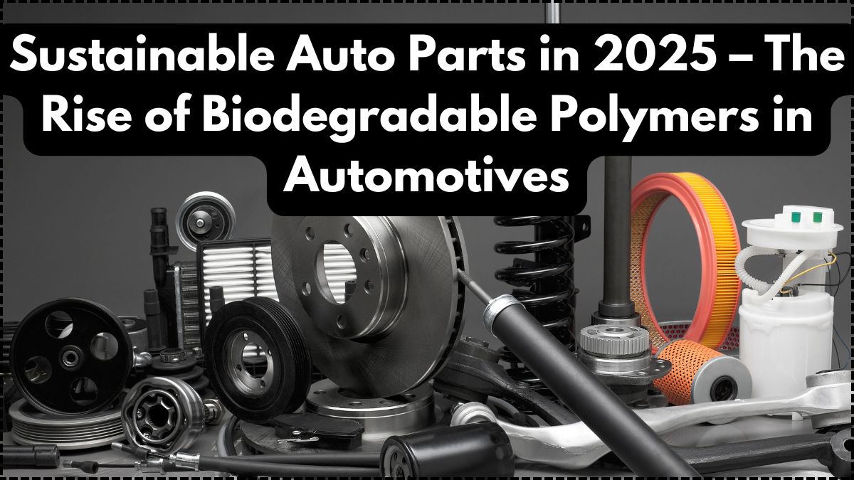 Sustainable Auto Parts in 2025 – The Rise of Biodegradable Polymers in Automotives