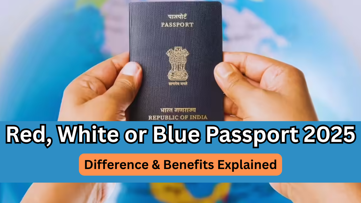 Red, White or Blue Passport 2025 – Difference & Benefits Explained