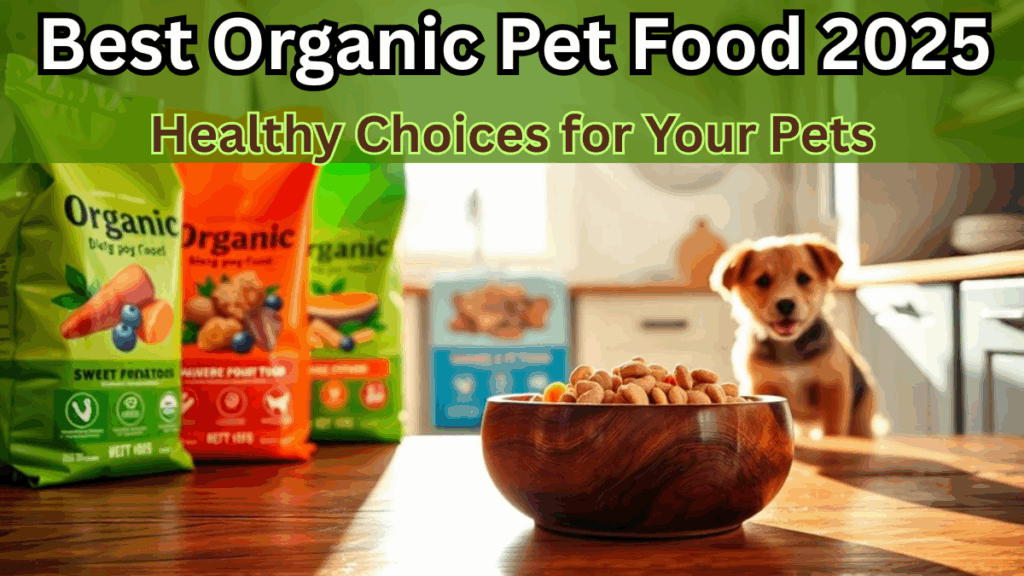 Best Organic Pet Food 2025 – Healthy Choices for Your Pets