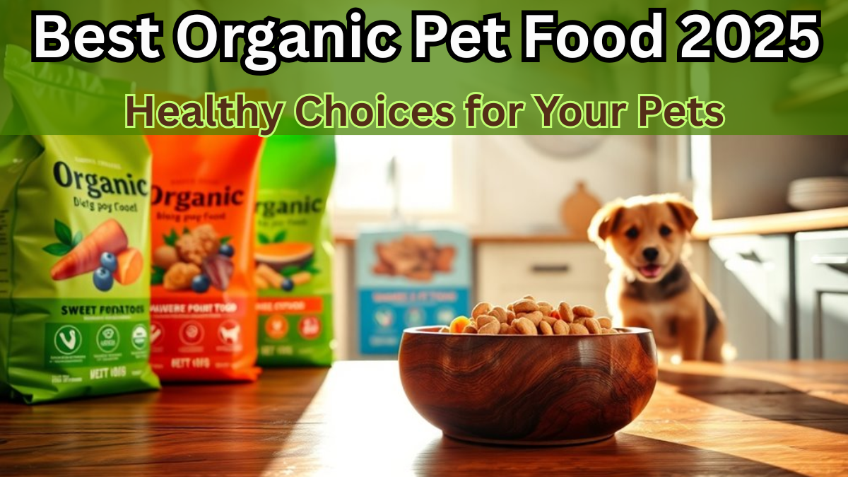 Best Organic Pet Food 2025 – Healthy Choices for Your Pets
