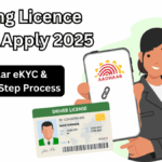 Driving Licence Online Apply 2025 – Aadhaar eKYC & Step-by-Step Process