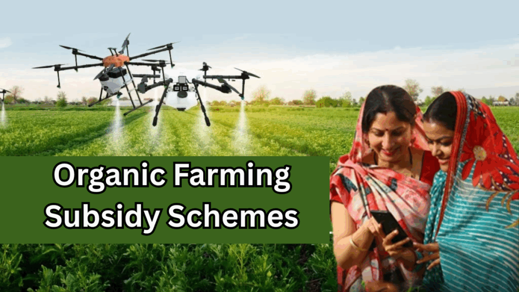 Organic Farming Subsidy Schemes in India – 2025