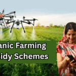 Organic Farming Subsidy Schemes in India – 2025