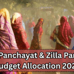 Gram Panchayat & Zilla Parishad Budget Allocation 2025